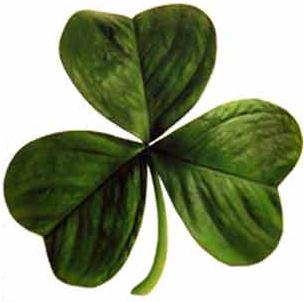 The-Shamrock