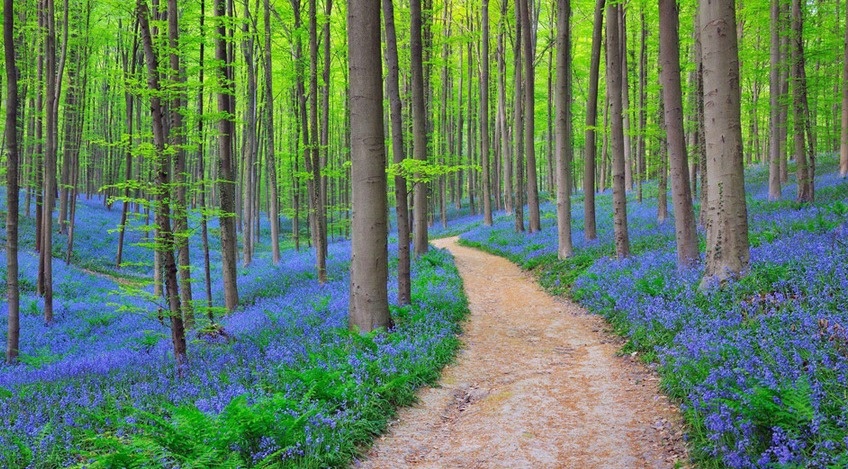 lifebuzz-20007948eb63c3dbfcc63c0924ba1734-limit_2000