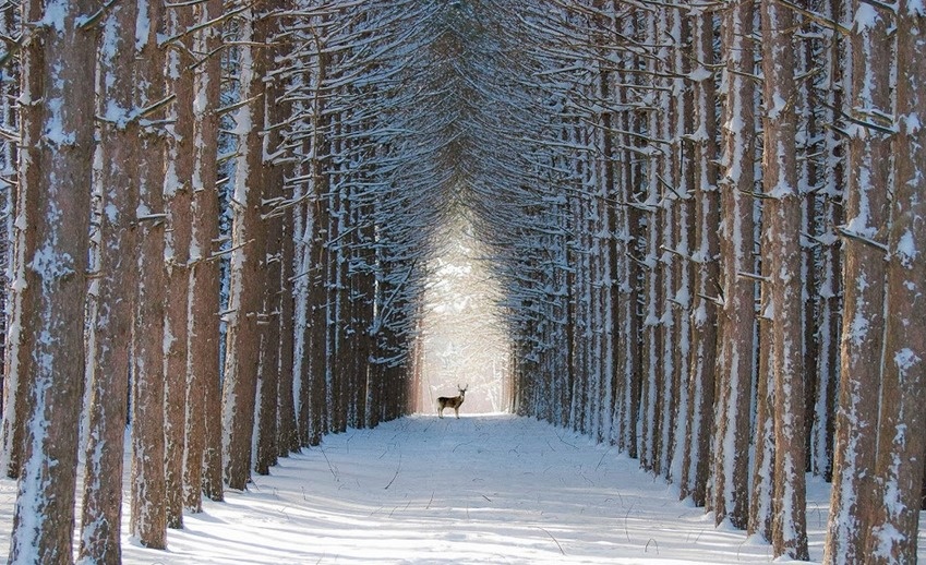 lifebuzz-e8c6e4ae12c22528a7f7950986f1d29c-limit_2000